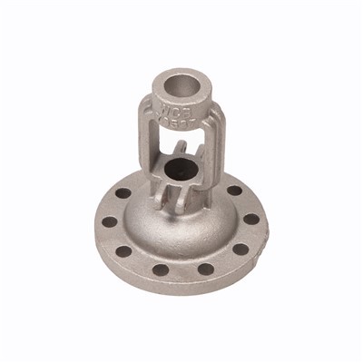 Aangepaste verwerking